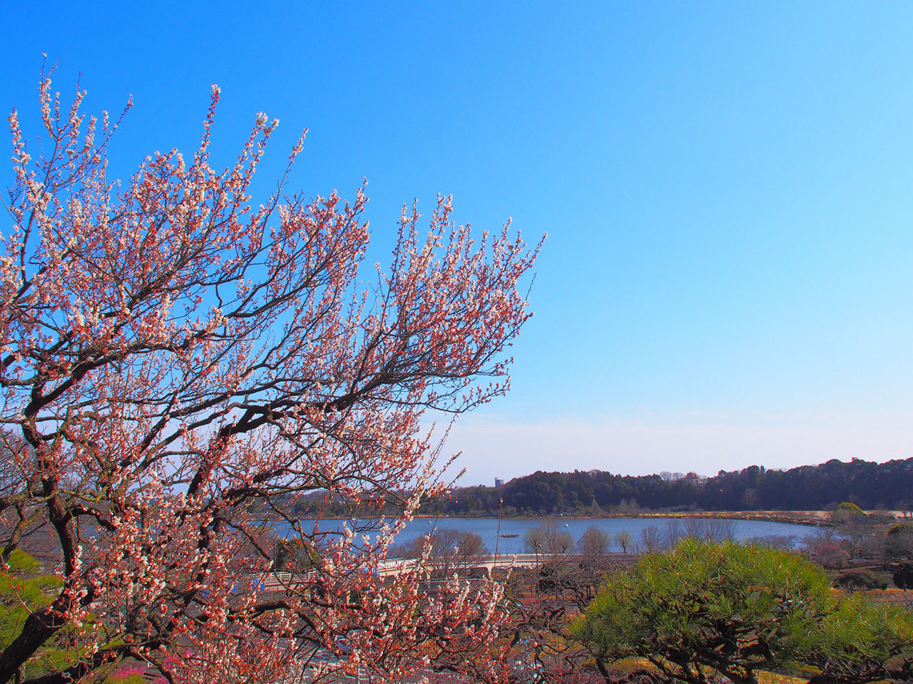 茨城県の風景写真