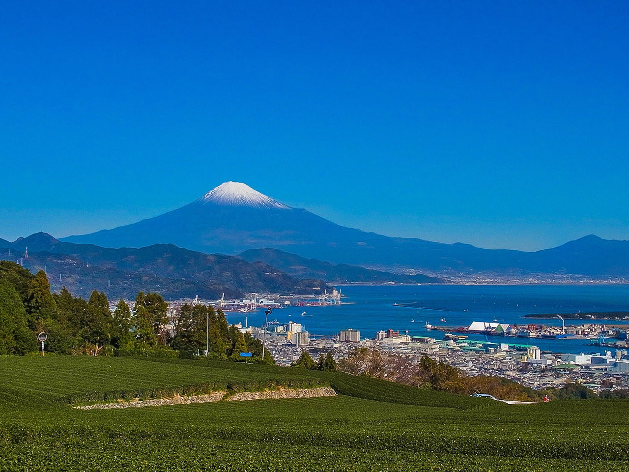 静岡県から見た富士山の風景写真