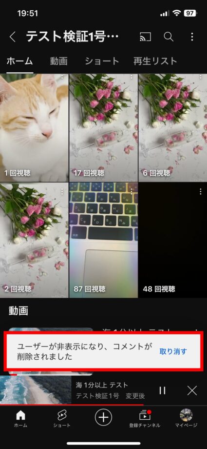 YouTube 「ユーザーが非表示にされコメントが削除されました」と表示されました。の画像