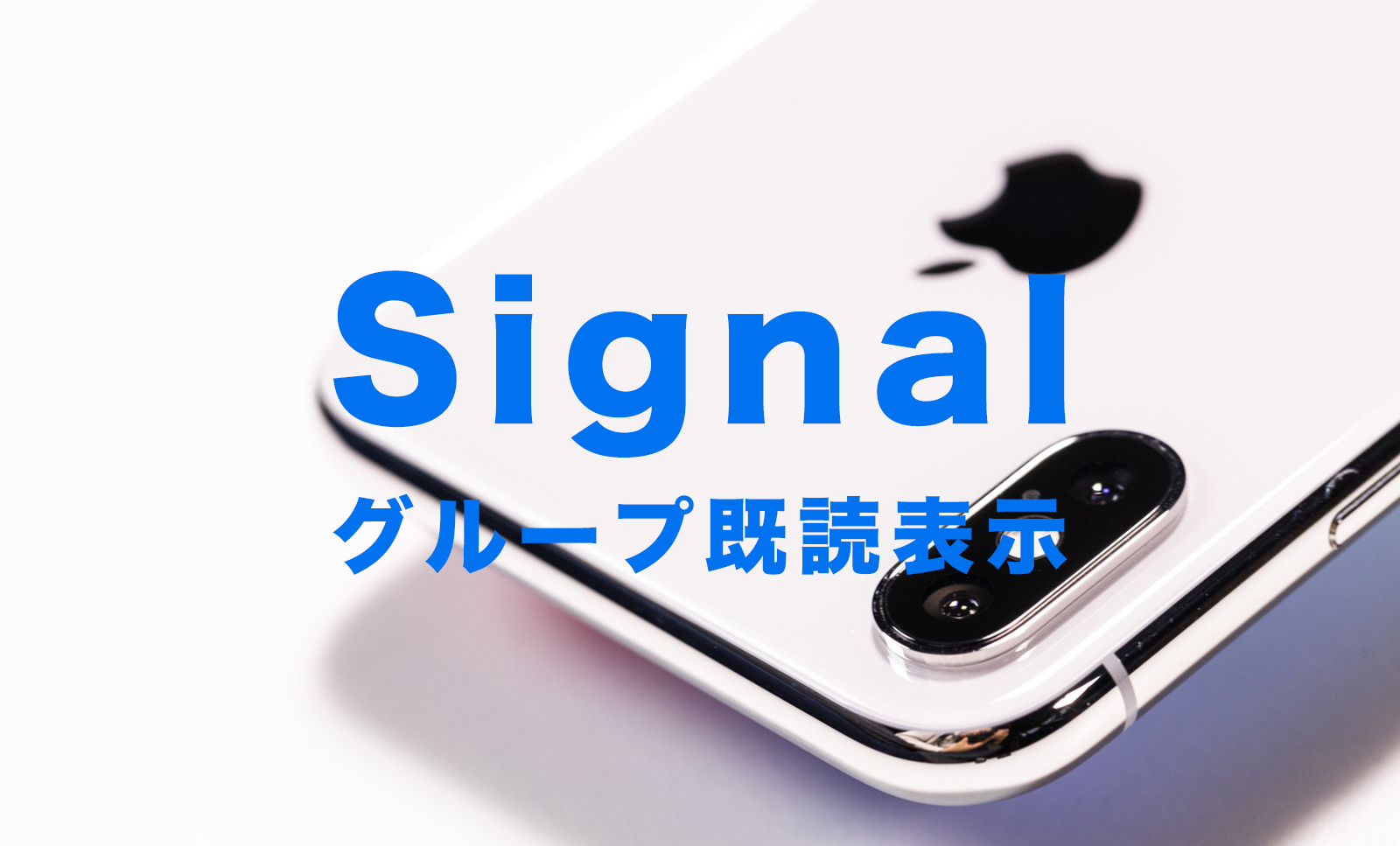 Signal(シグナル)のグループチャットで既読はどう表示される？【メッセージアプリ】のサムネイル画像