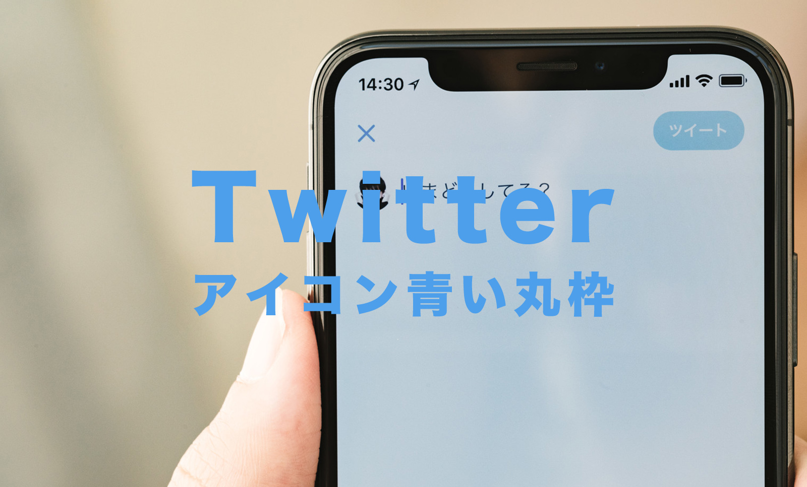 Twitterのアイコンの周りの青い丸枠の意味はなに？フリート機能？【ツイッター】のサムネイル画像