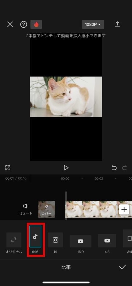 CapCut 2.「9:16」をタップしますの画像