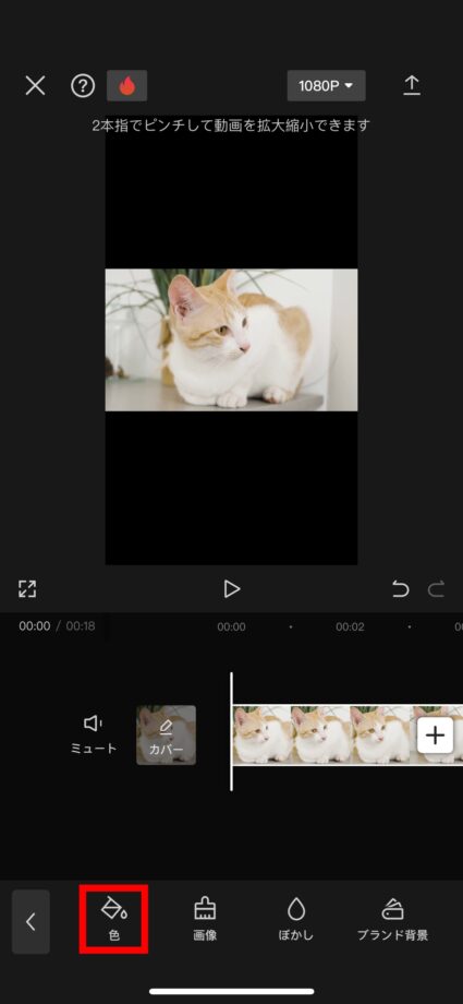 CapCut 2.「色」をタップしますの画像