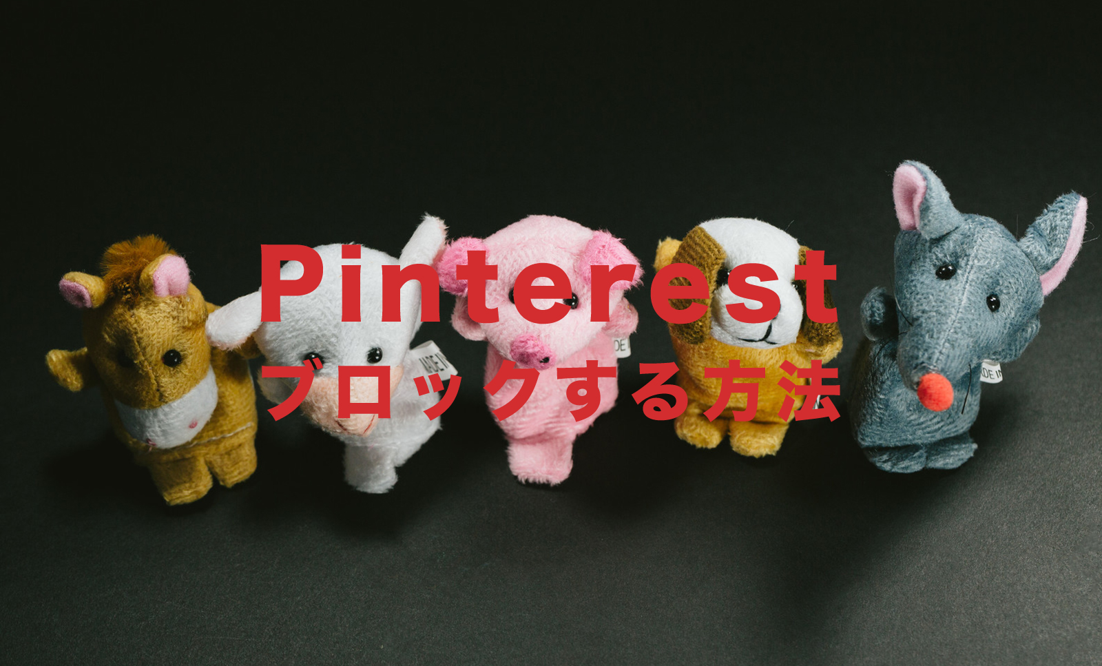 Pinterest(ピンタレスト)でブロックしたい！やり方＆仕方を解説！のサムネイル画像