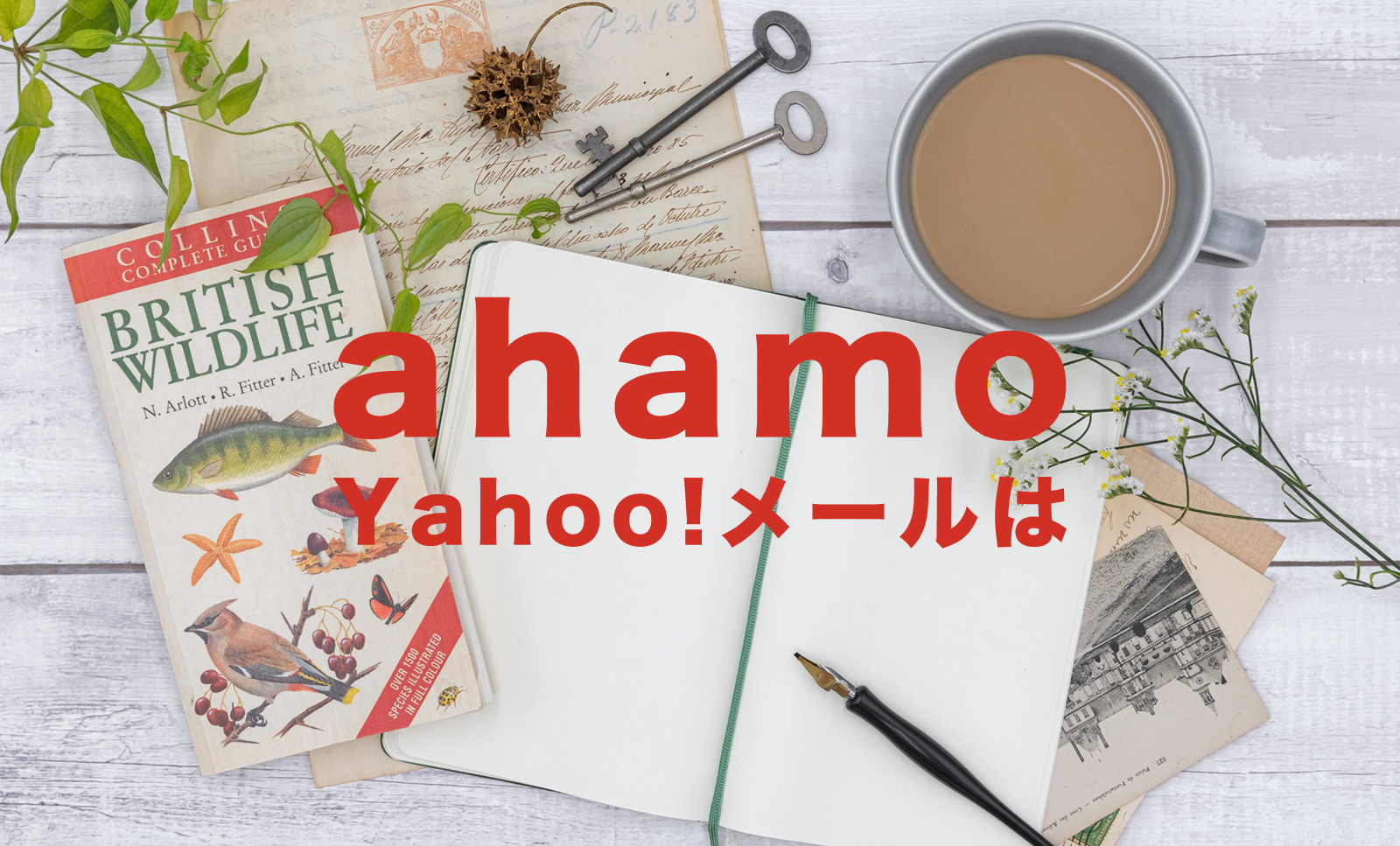 ahamo(アハモ)でYahoo!(ヤフー)メールは使えるか？使えない？のサムネイル画像