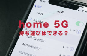 ドコモのhome 5G(HR01、HR02)を持ち運びできる？持ち歩きしても問題ない？