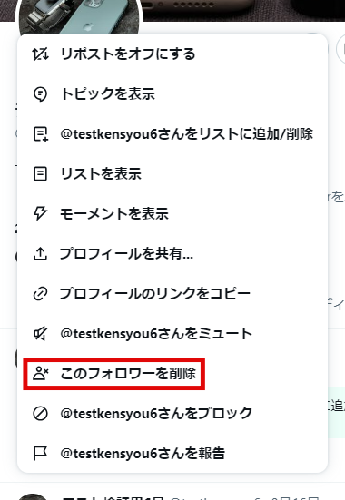 x　PCブラウザ版ではミュートやブロック、報告のメニューがある場所に「このフォロワーを削除」のメニューが表示されています。の画像