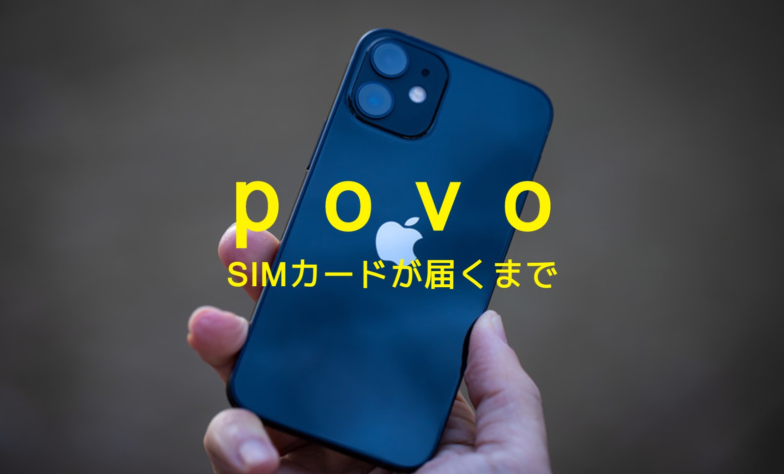 povo(ポヴォ)でSIMカードが届くまで通信回線は使えない？のサムネイル画像