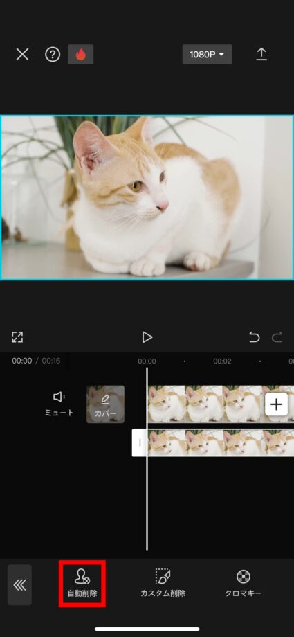 CapCut　12.「自動削除」をタップしますの画像