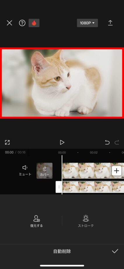 CapCut これで、動画の背景にぼかしを入れることができました。の画像