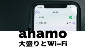 ahamo(アハモ)大盛りとドコモ光や光回線を比較、違いは？