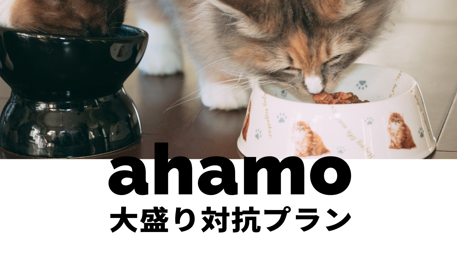 ahamo(アハモ)大盛りへ対抗した他社のプランはある？のサムネイル画像