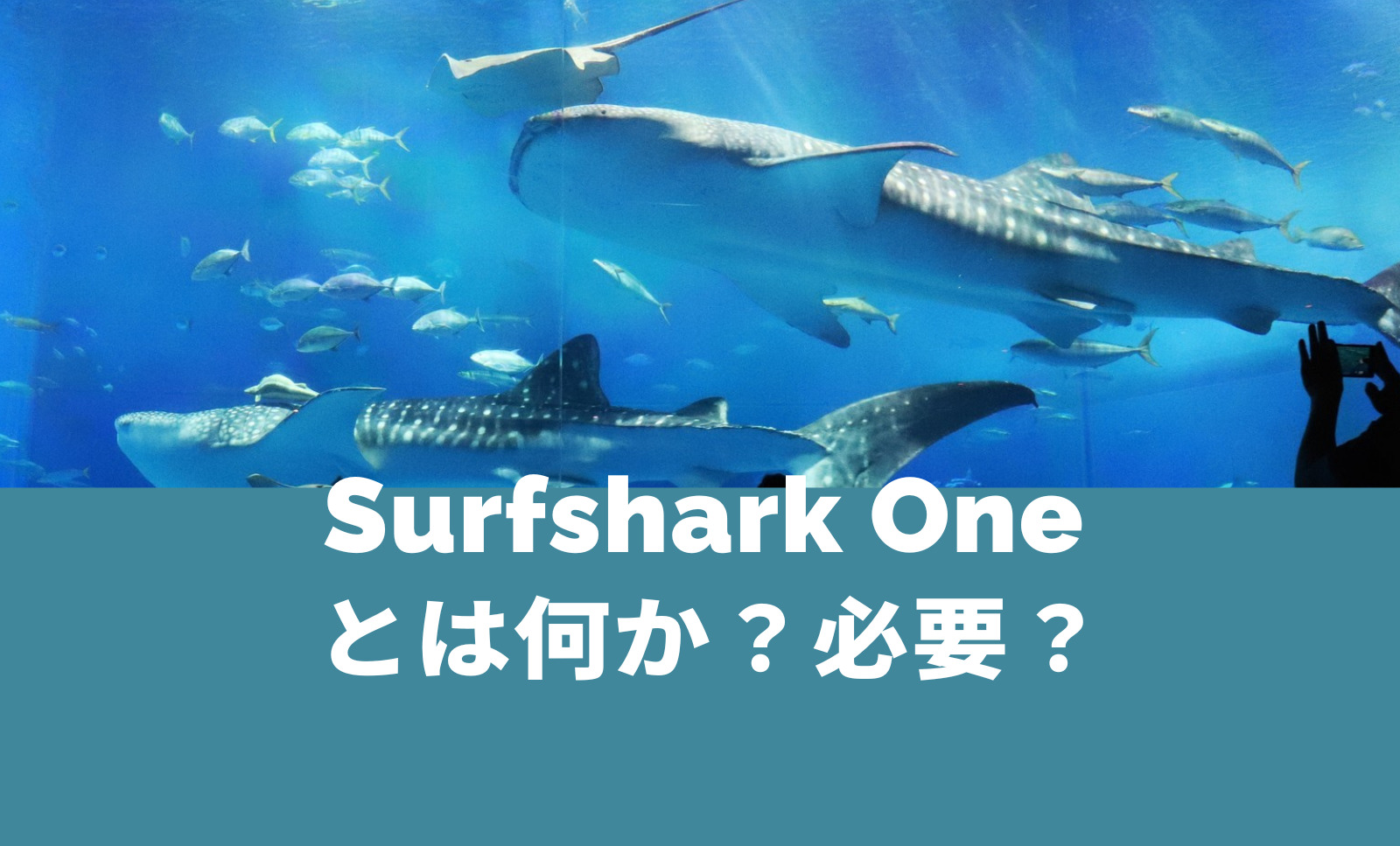 Surfshark Oneとは何？必要なのか解説、VPNに違いはある？のサムネイル画像