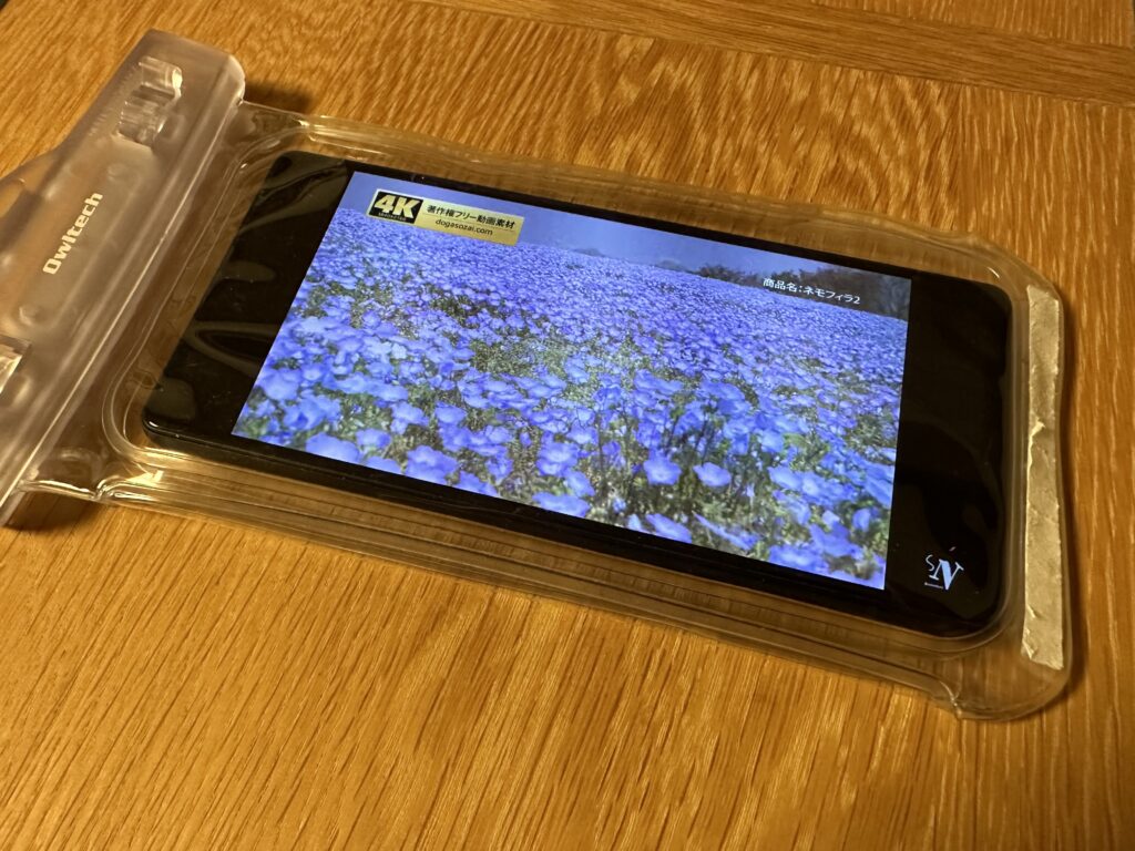 Google Pixel 6aを防水スマホケースに入れて動画を再生した写真