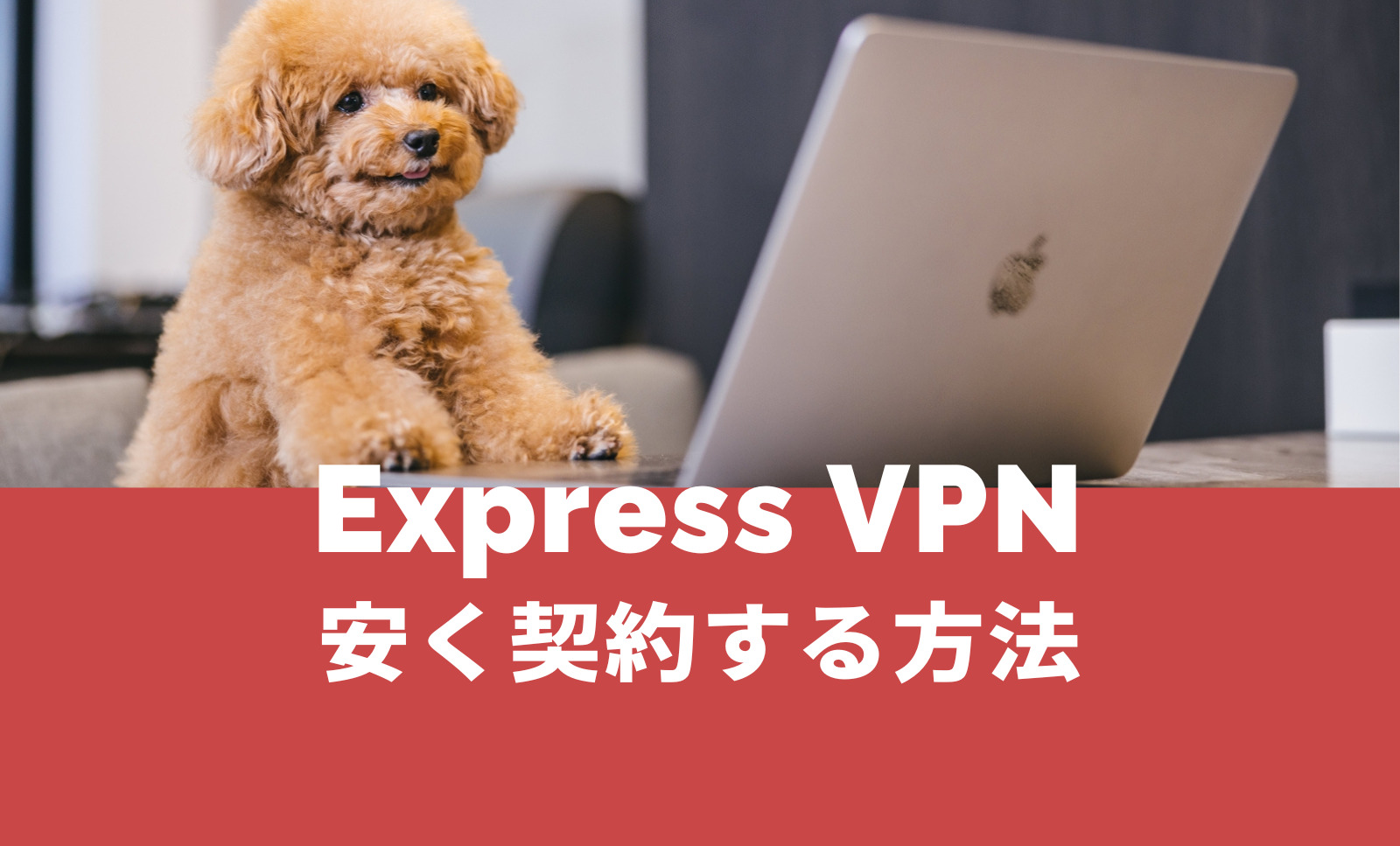 ExpressVPNを安く契約する方法は？お得な仕組みをまとめて解説！のサムネイル画像