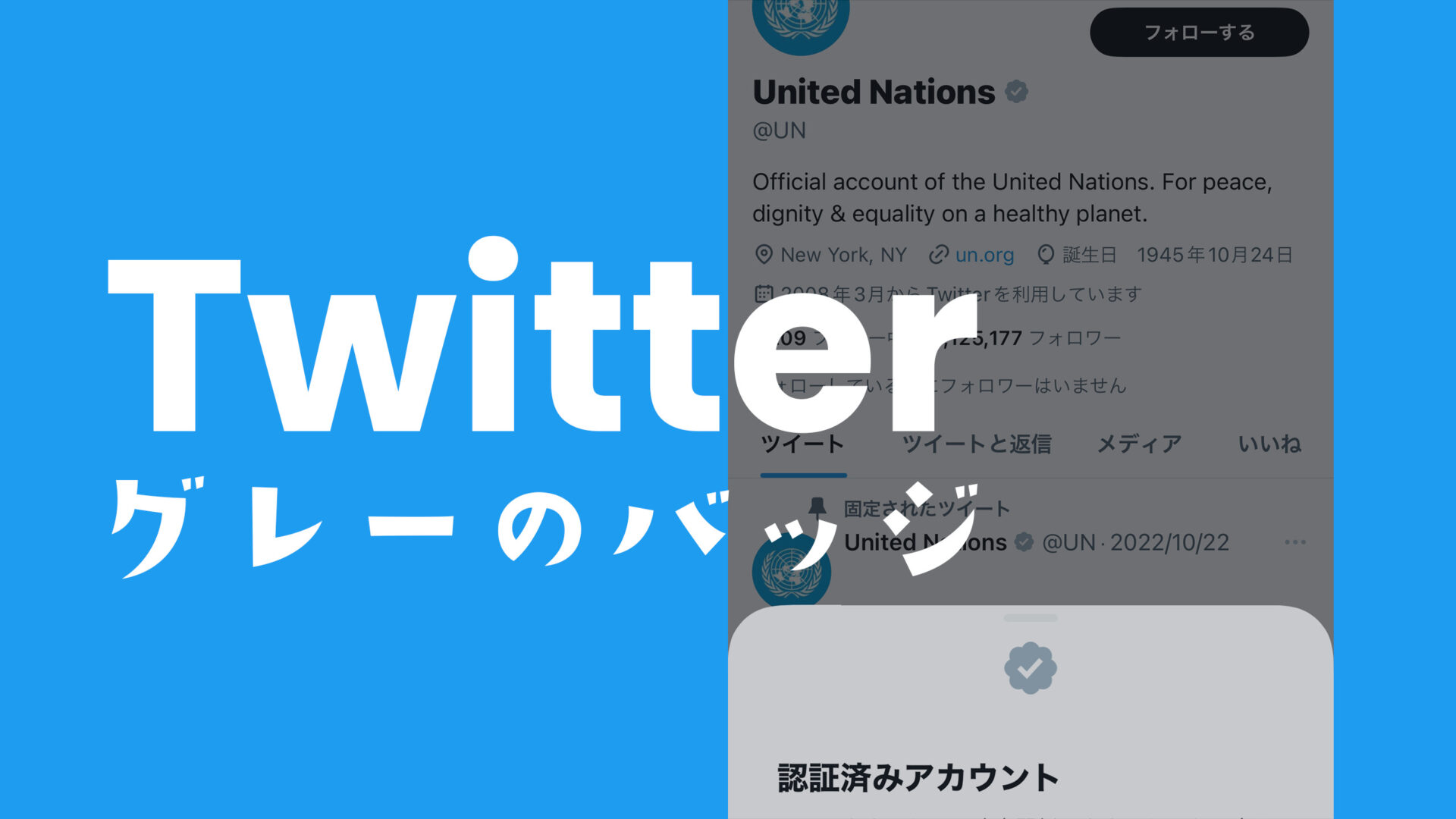 X(旧Twitter)でグレーの公式マーク&認証バッジの意味は何？のサムネイル画像