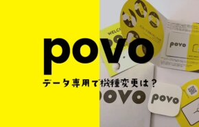 povoのデータ専用プランで機種変更の時はeSIM再発行できる？