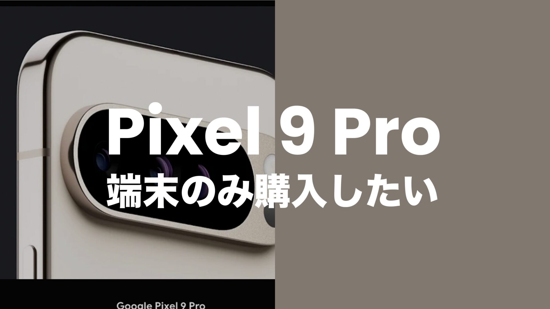 Google Pixel 9 Proを端末のみ購入&回線契約なしで手に入れるには？のサムネイル画像