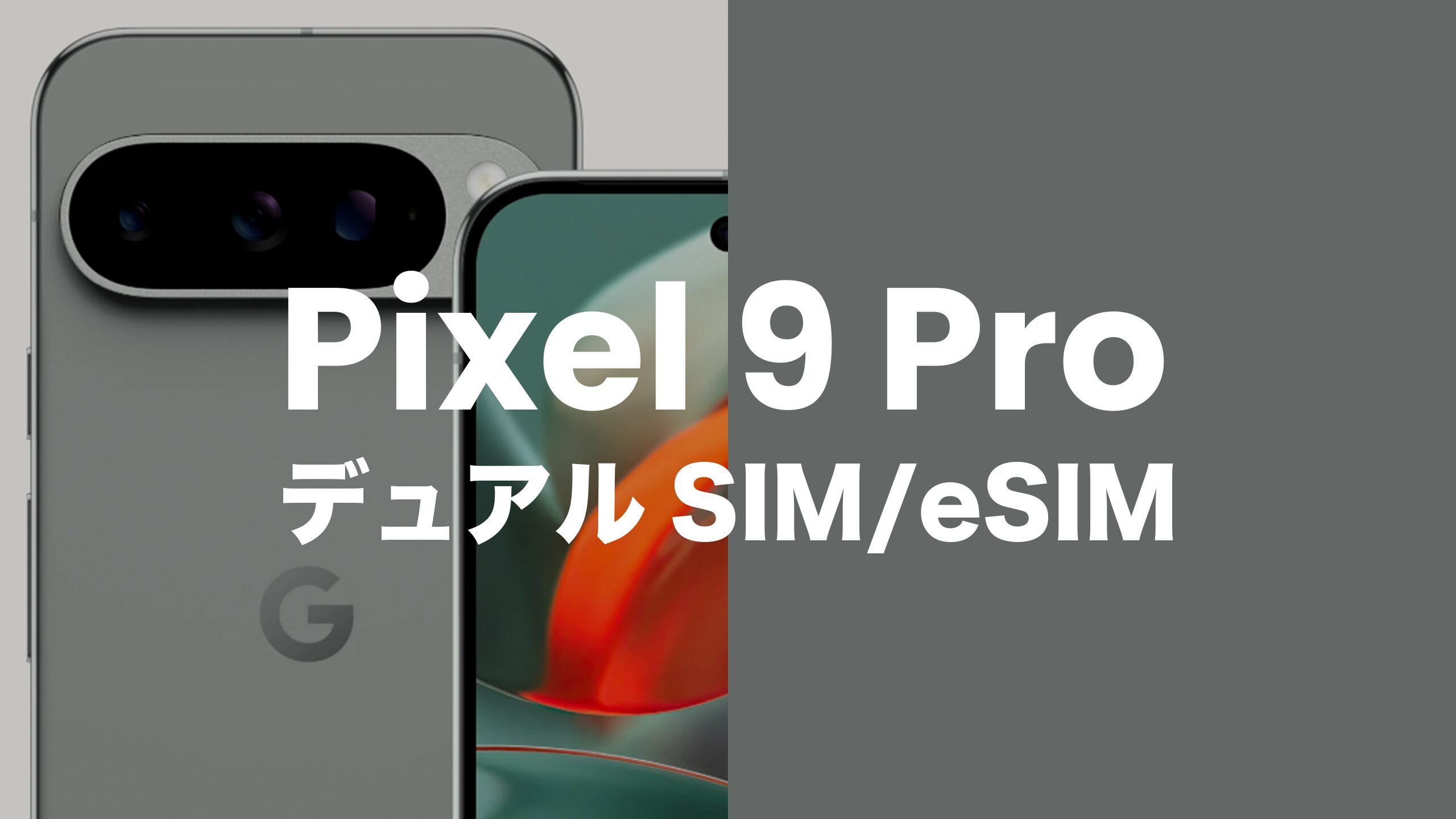 Google Pixel 9 ProはデュアルSIM & eSIM機能対応。デュアルeSIM